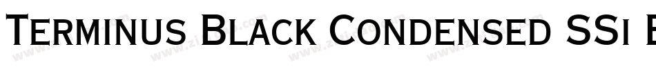 Terminus Black Condensed SSi Bold Condensed字体转换